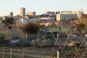 Jardins - ecocites - Montpellier