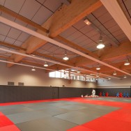 Gymnase Chatenay Malabry; Architecte aEa Engasser